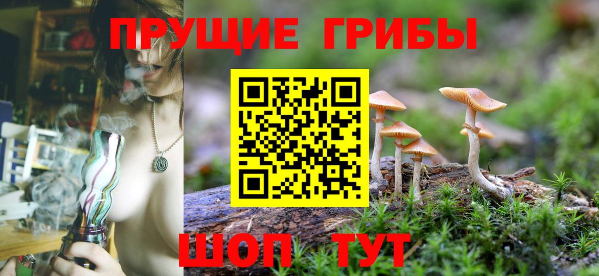 Чистополь  Галлюциногенные грибы Psilocybine cubensis  Галлюциногенные грибы MAGIC MUSHROOMS  Вход с VPN 