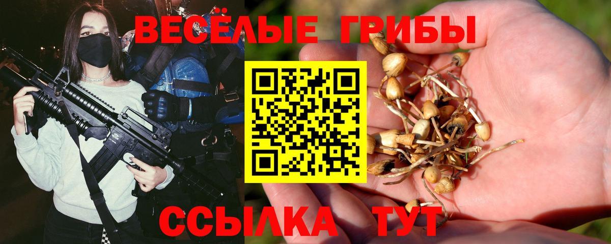 Псилоцибиновые грибы Magic Shrooms Чистополь